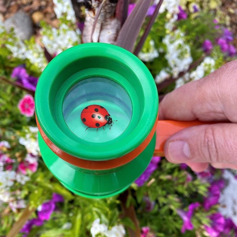 Bug Catcher & Viewer - Picture 5 of 5